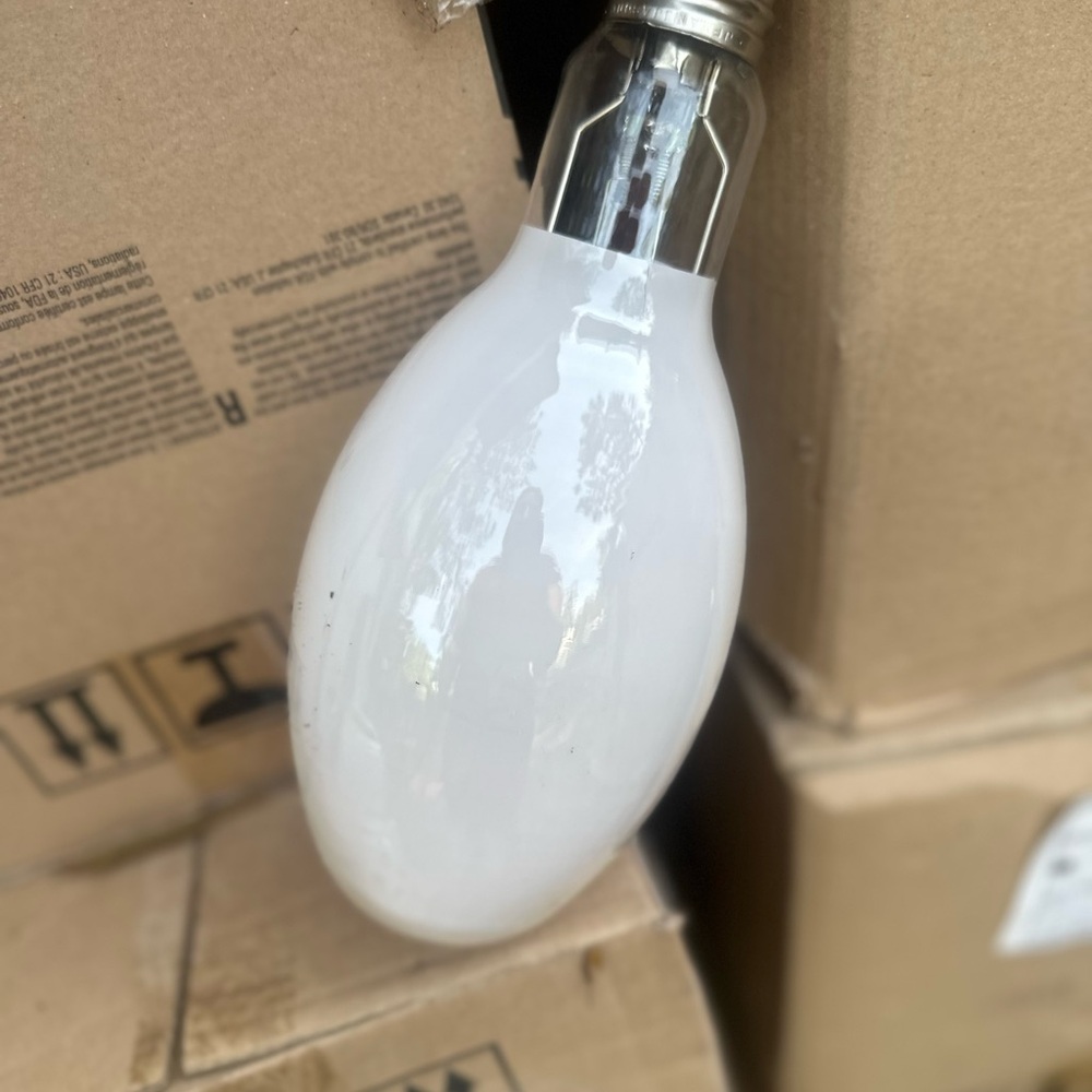 White Frosted LED Bulb - Decorative Home Lighting